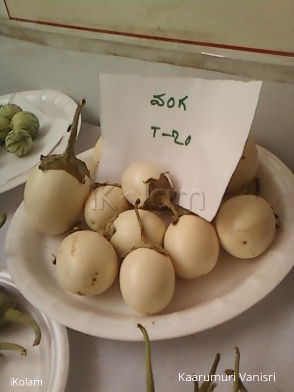 Eggplant - Eggs on plants = eggplant (Brinjal)