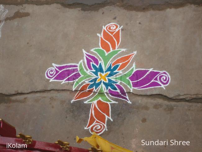 Rose Bud Kolam - 