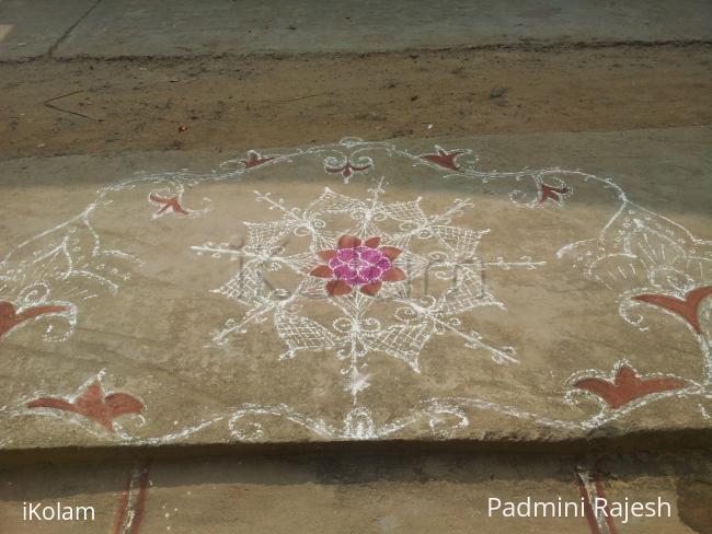 Pongal kolam  - free hand