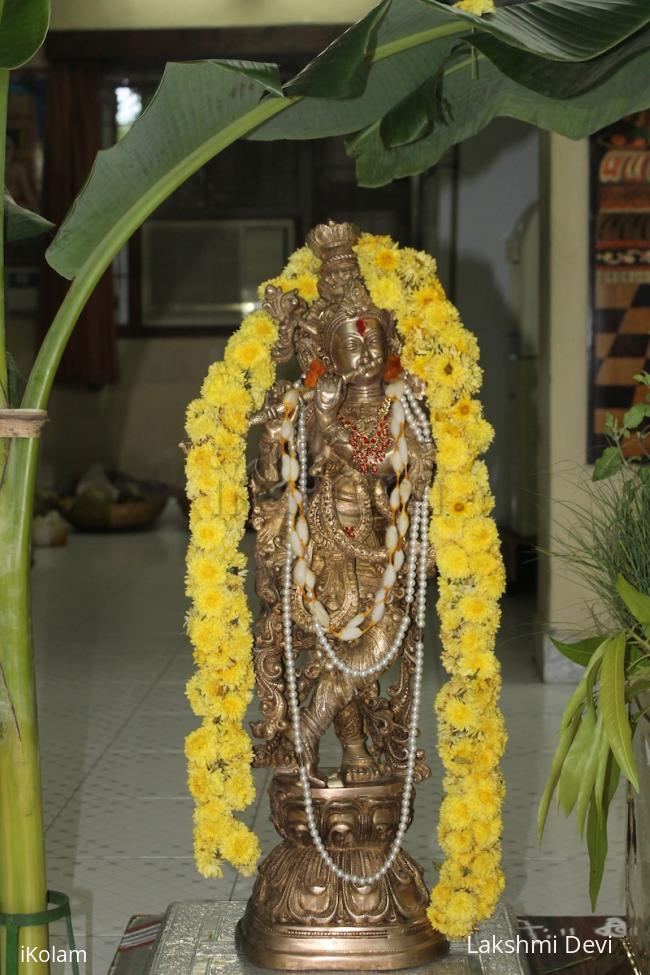 Thulasi vivaha - 