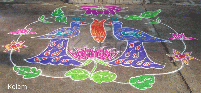 Rangoli: Lunch time!