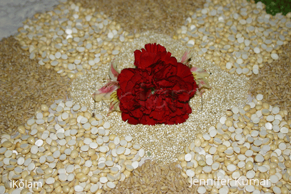 Rangoli: Pongal - rangoli with grains and pulses