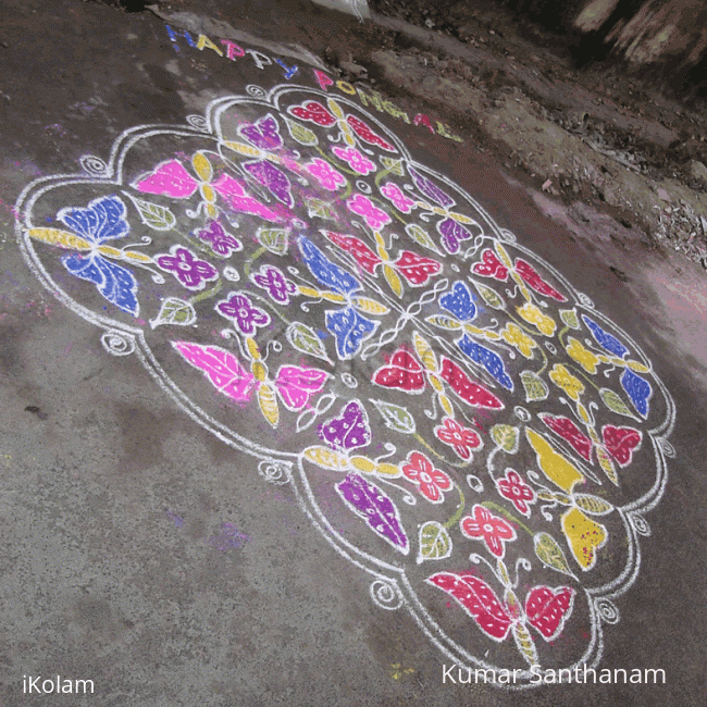 Rangoli: Pongal butterflies