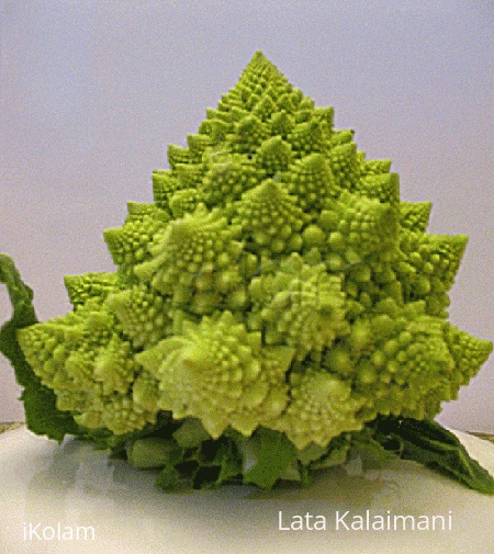 Rangoli: Romanesco