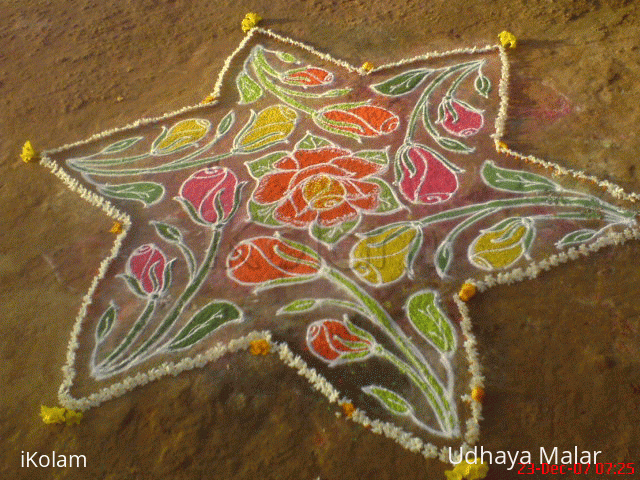 Rangoli: The star of flowers