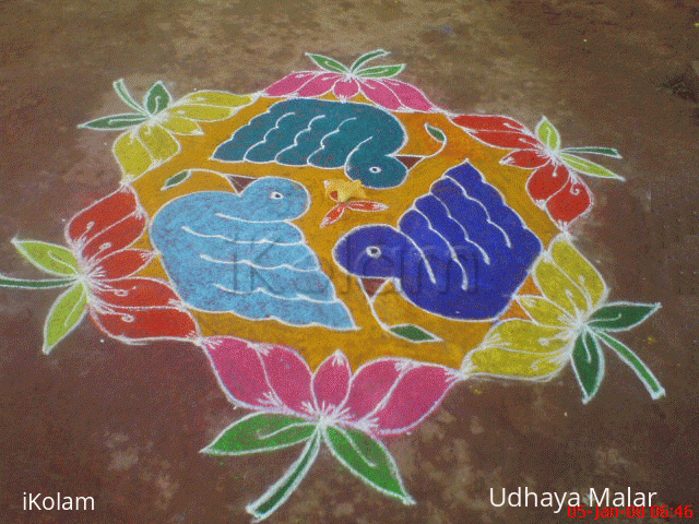 Rangoli: Birds on lotuses