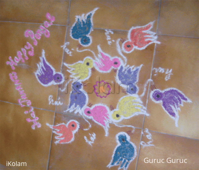 Rangoli: Pongal wishes!