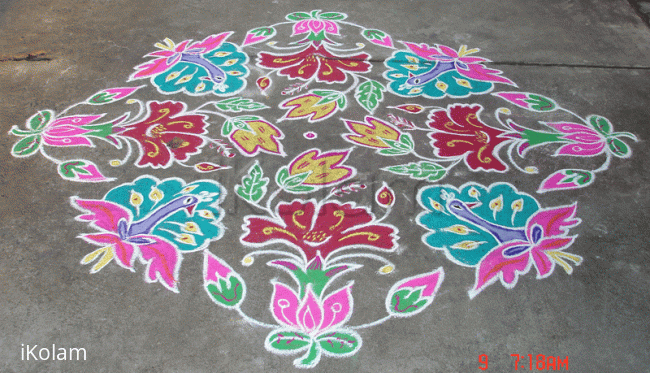 Rangoli: Peacocks - Hibiscus