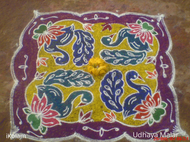 Rangoli: Birds and flowers