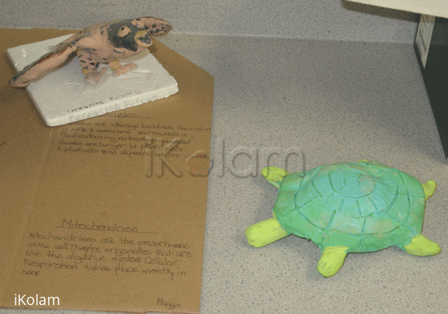 Rangoli: Turtle for a school project