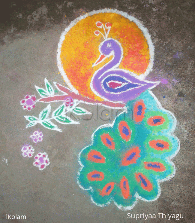 Rangoli: Peacock rangoli