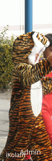 Rangoli: Tiger costume