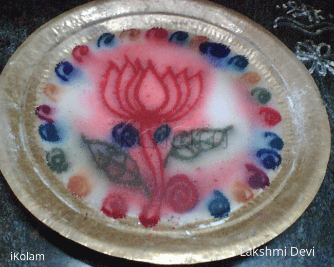 Rangoli: Water _ Milky lotus