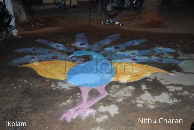 Rangoli: Peacock