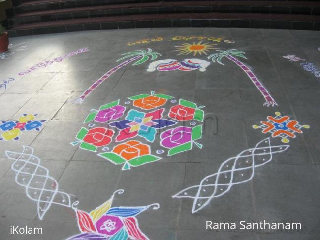 Rangoli: My pongal rangoli at my college