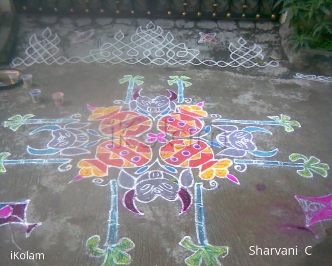 Rangoli: pongal  (sharu)