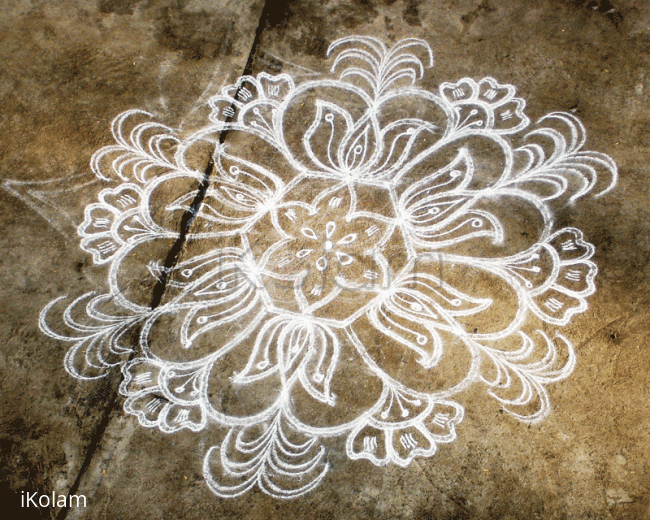 Rangoli: MARGAZHI KOLAM