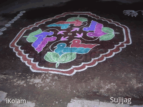 Rangoli: Ducks