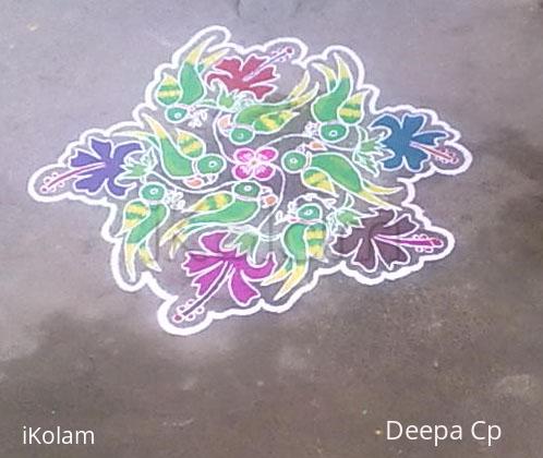 Rangoli: parrots kolam