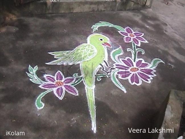 Rangoli: Parrot