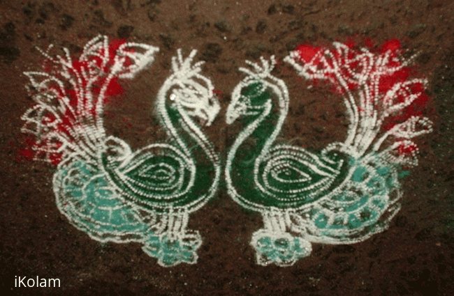 Rangoli: Pair of Peacocks