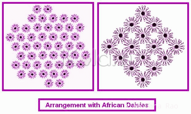 Rangoli: African Daisies 