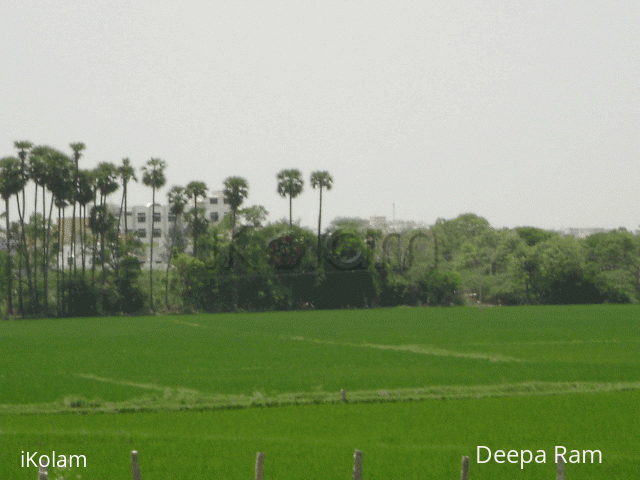 Rangoli: A scenic view