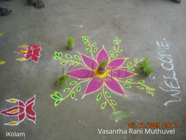 Rangoli: Marriage Kolam