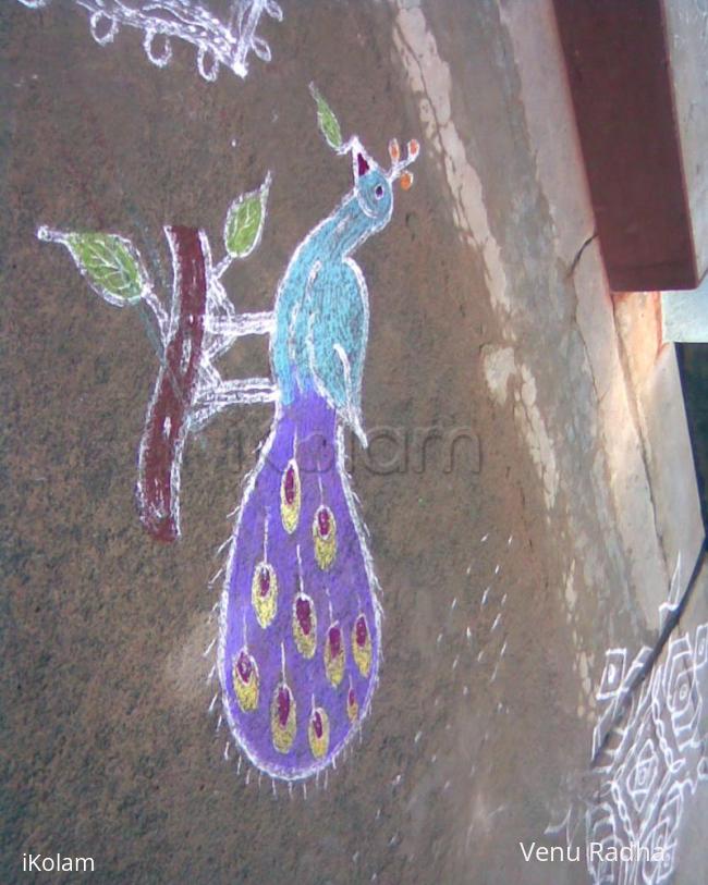 Rangoli: Peacock Rangoli