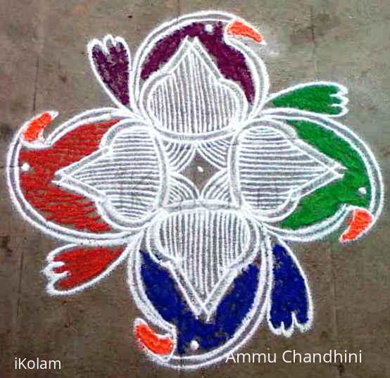 Rangoli: rangoli without dots