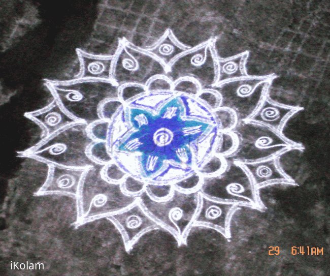 Rangoli: Cyanocrocus