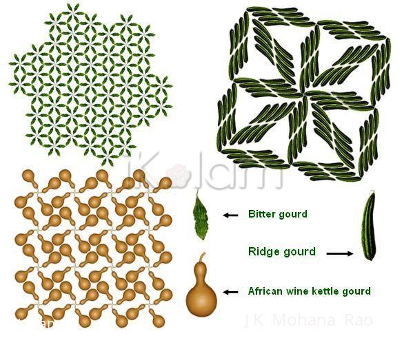 Rangoli: Patterns with bitter, ridge and african kettle wine gourds 