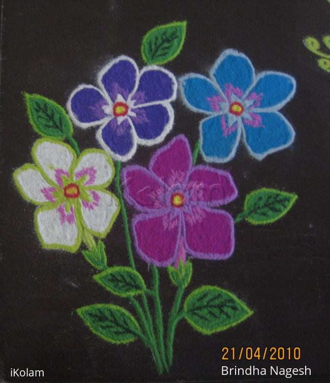 Rangoli: Periwinkle