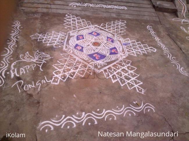 Rangoli: -pongal kolam 