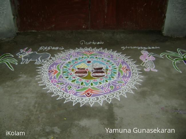 Rangoli: pongal kolam