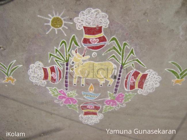 Rangoli: maattu pongal 2009