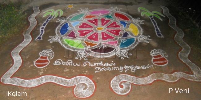 Rangoli: Pongal Kolam