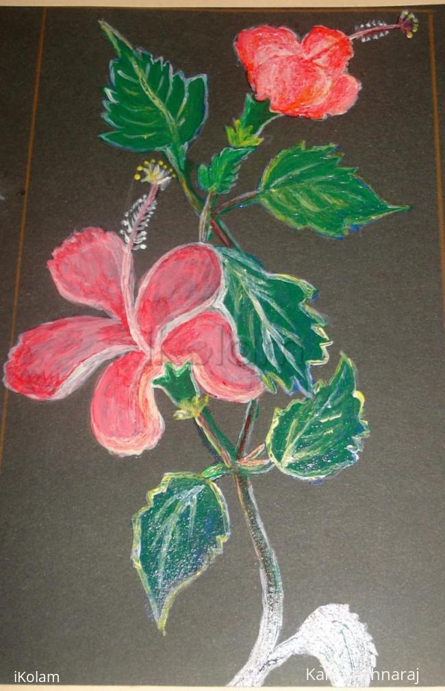 Rangoli: Hibiscus