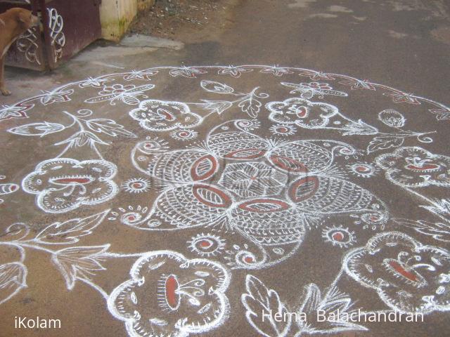 Rangoli: RANGOLI