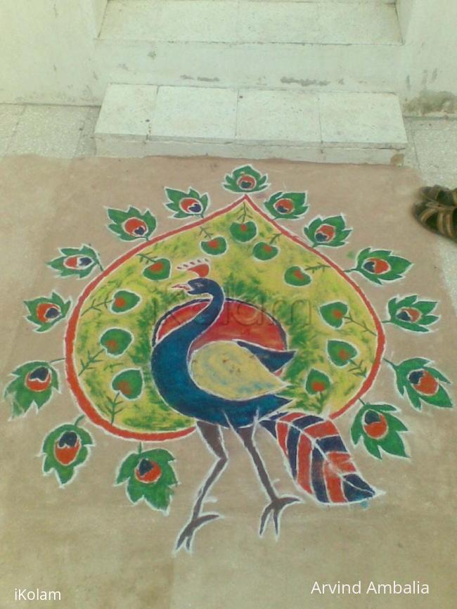 Rangoli: Diwali Rangoli - colorful peacock