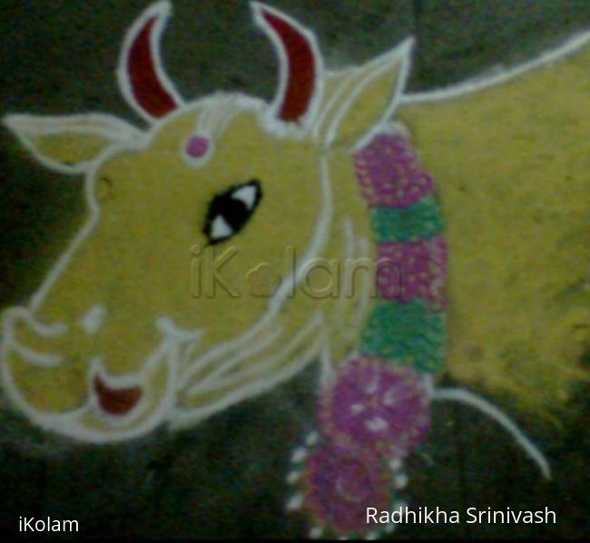 Rangoli: cow in pongal kolam