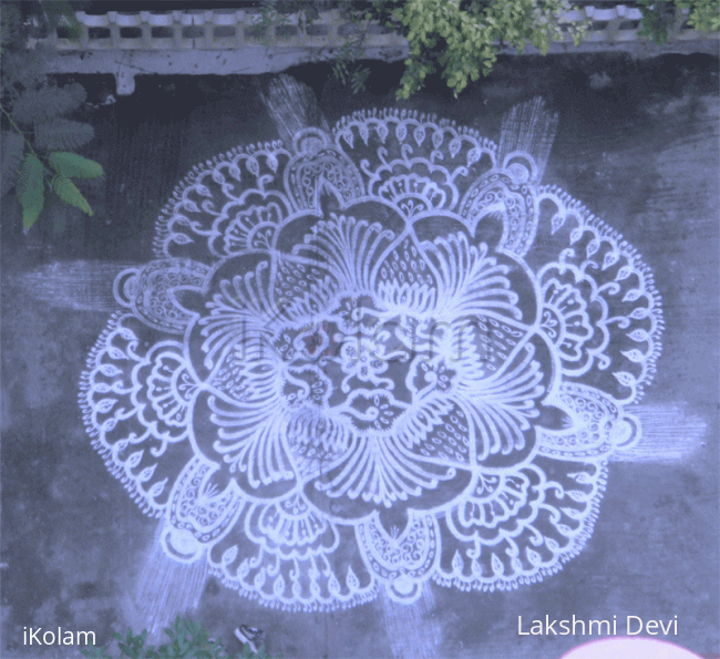 Rangoli: Hexa flower rangoli