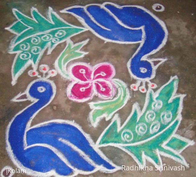 Rangoli: peacock kolam