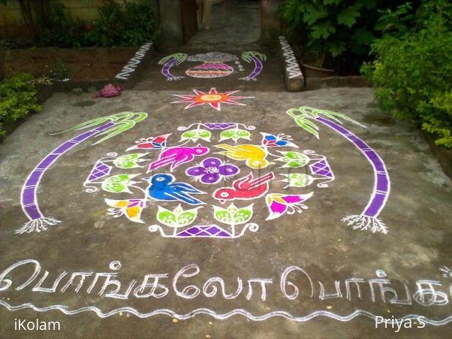 Rangoli: Pongal 2011