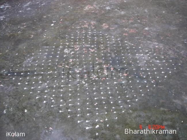 Rangoli: Entry for Marghazhi Sikku Kolam 2011