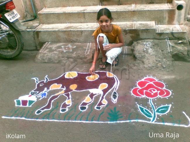 Rangoli: maatupongal