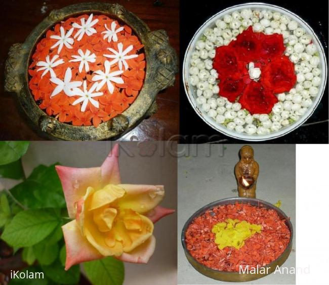 Rangoli: Flower Collage4