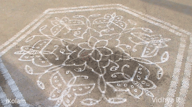 Rangoli: Butterflies