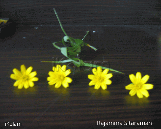 Rangoli: Yellow flowers and grasshopper