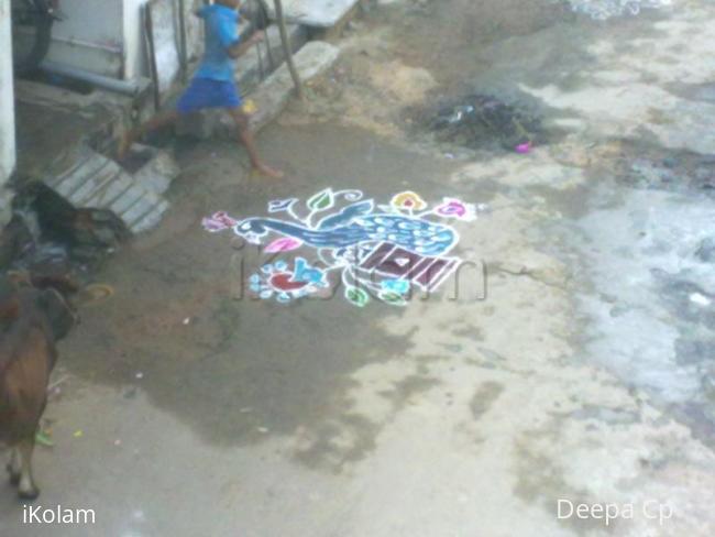 Rangoli: Peacock kolam